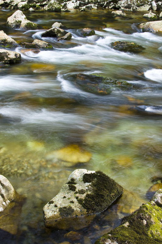 Rocks In Clinton River